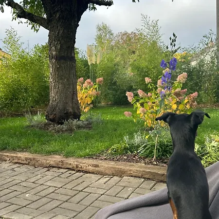 Villa Oaza *