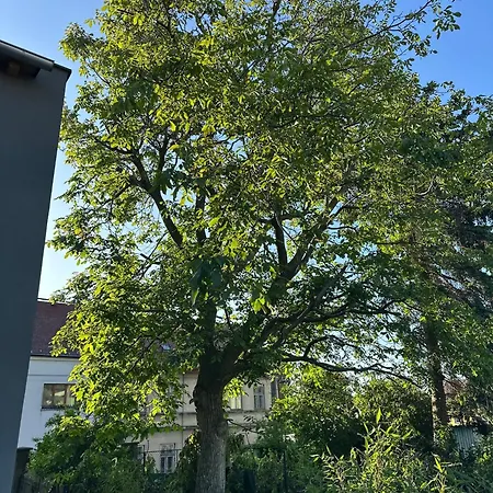 Oaza Villa Hrob