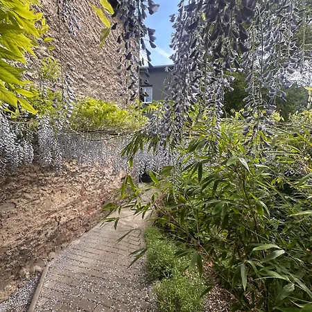 Oaza Villa